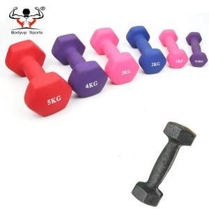 Strength Training Dumbbell For Ladies , Wear Resistant Cast Iron Dumbbells