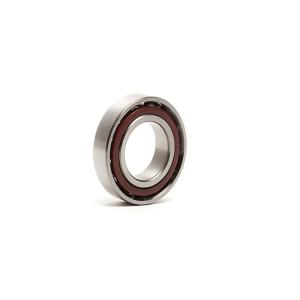Pure Thrust Loads Angular Contact Ball Bearing 726C Rubber Seal Double Row