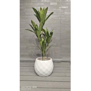 Geometric Diamond -shape Design Sporty Fun Themed Appearance Spherical Fiber