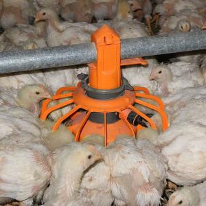 1.1kw Automatic Chicken Feeders And Waterers 450kg/H Delivery