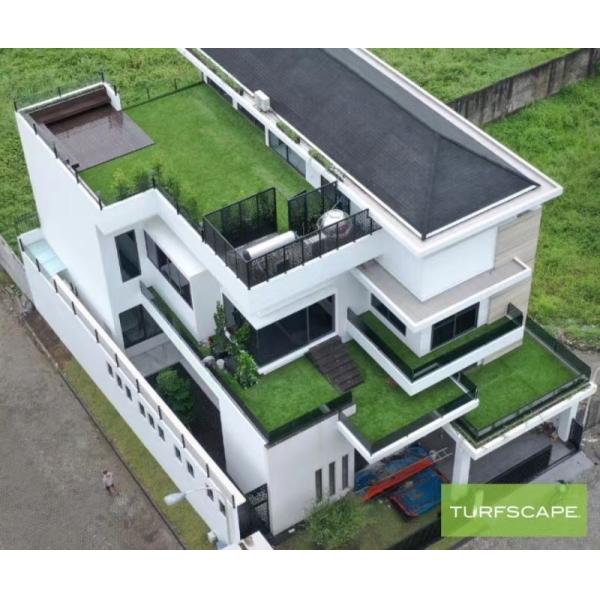 Trio Shape Monofilament PE Garden Artificial Grass With SBR Latex Coating
