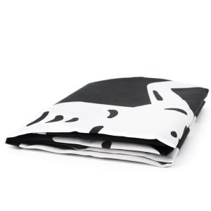 Rectangular Pirate Edward Teach Flag 90x150cm With Brass Grommets