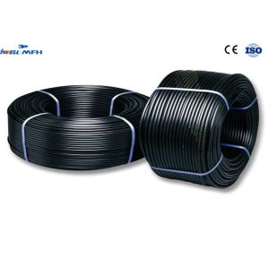 Small PE PPR PE RT PA Dual Pipe Extrusion Machine