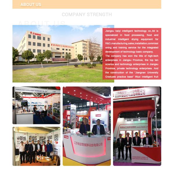 Turnkey projects conveyor drying machine for fruits and vegetables/foods/seeds