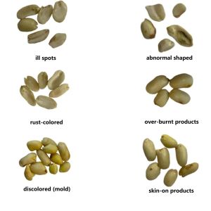 KMAT Advanced AI Image Sorting Peanut Sorter