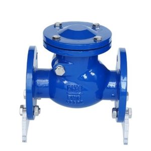 6 Inch / 8 Inch Ductile Iron CI PN16 Flanged Swing Check Valve for Customized