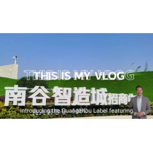 Wholesale Unique Branding Solutions with Custom Metallic Foil Stickers from china suppliers