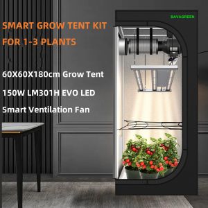 BAVAGREEN 60X60X180CM Smart Growing System 150W Vollspektrum Samsung LM301H EVO