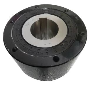 alternative TSUBAKI high quality R&B brand BS250 one way cam clutch