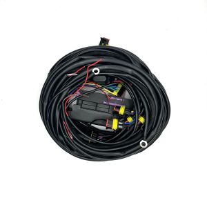 4 Cylinder ECU Multipoint Fuel Injection Harness 56 Pin CNG LPG Auto Wiring