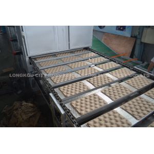 Environmental Protection Pulp Tray Machine / Apple Tray Molding Machine