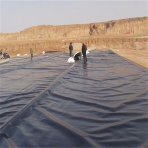 Tilapia Plastic Circular Fish Farming HDPE Geomembrane with Smooth Surface