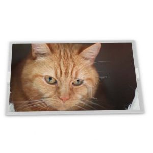 Wholesale SP12N002 WLED TFT LCD Display Module 4.8-Inch 256*64 Resolution LCD Modules from china suppliers