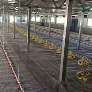 1.5kW 200L Poultry Automatic Pan Feeding System