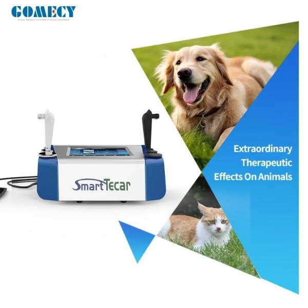Portable Tecar Therapy Machine