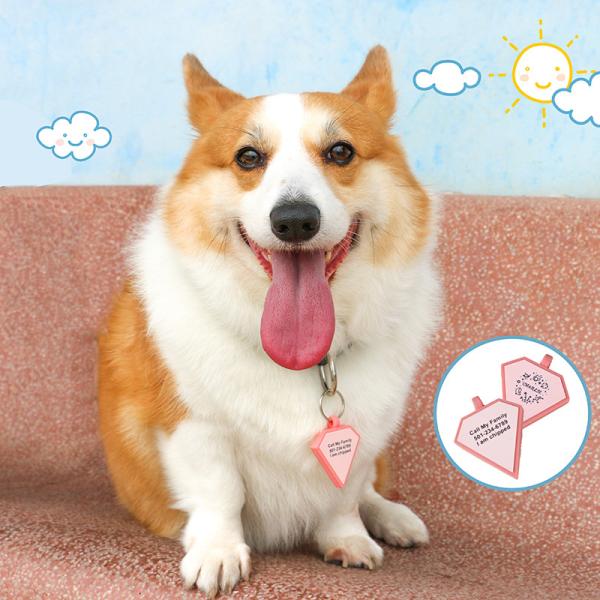 Quality PAISEN Personalized Custom Dog Tags Engraved 3D QR Code Dogs Cat Collar Silicone Pet Tag for sale