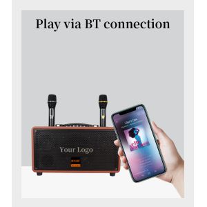 Custom 8 Inch Wooden Portable Bluetooth Speaker Box Outdoor Loudspeaker