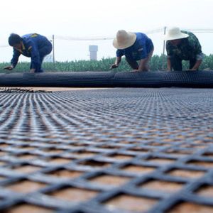 Wholesale Steel Plastic Geogrid For Stabilized Gravel Surface Subgrade And Reinforcement Net from china suppliers