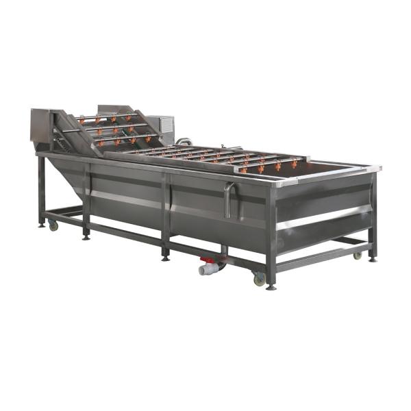 Fruit Cleaning Machine Multi-Function Vegetable Washing Equipment for Quick Cleaning