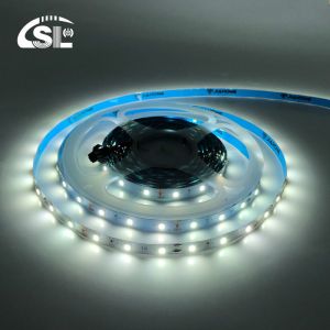 12V 60leds/m 6000K-6500K SMD 2835 White Addressable Led Backlight Strip Lights