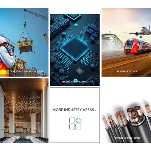 T2 C1100 C11000 Cu Strip C1100 Oxygen Free C10100 0.1-50mm