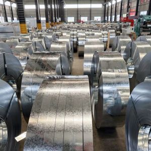 Processing Service for DX51D Galvanized Coils RAL Color Silver and Hot Dipped Gi