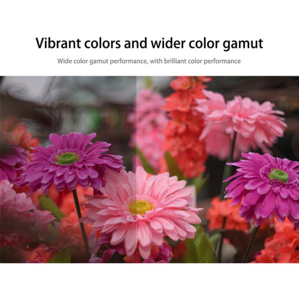 100% Cotton Shirt Fabric Epson L1800 P600 P800 DTF Film Printer Water Based Ink C/M/Y/K/W Colors