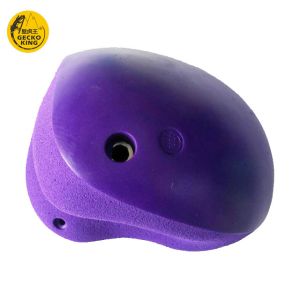 Experience the Thrill with Gecko King Playground Wall Climbing Holds
