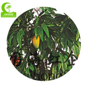 Tropical Mango Trees For Sale Chinese Goods Wholesale Artificial Mango Tree