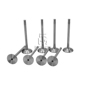 Wholesale Intake Valve 04234953 4234953 0423 4953 for deutz 914 Diesel Engine from china suppliers