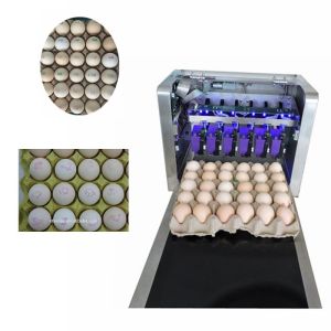 Wholesale Poultry Husbandry Egg Printing Machine With Automatically Identified Function from china suppliers