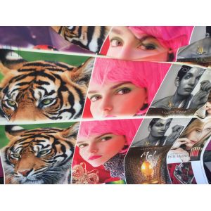 Home Decoration Digital Flag Printing Machine High Resolution