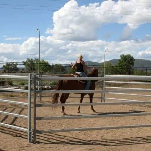 1025 Cattle Galvanized Livestock Fencing 1.8mx2.1m 2.3mx2.2m