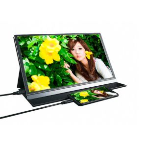 178 Degree View Angle Weight 709g 15.6" Portable Desktop Monitor
