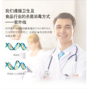 6W 285nm UVC Air Sterilizer DC12V UV Light Lamp For Disinfection