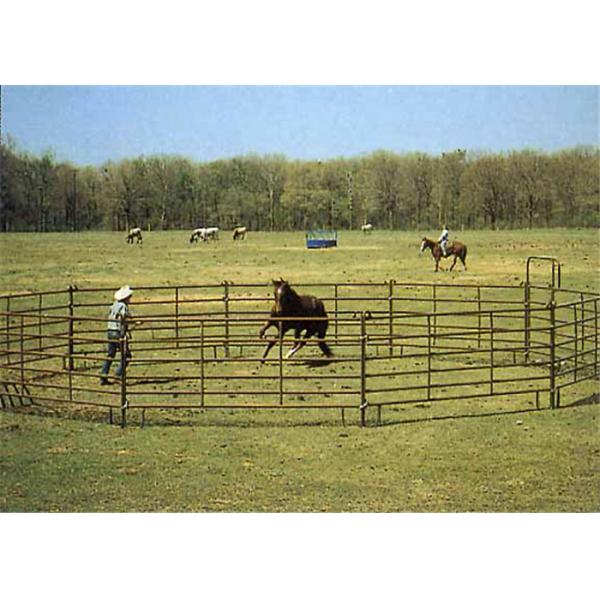 Anti Corrosion Cattle Fence Panel Strong Structure Easy Maintaining 1-4.2m Length