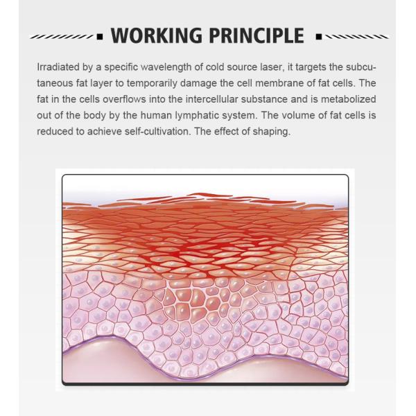 Non Invasive 532nm 6D 2 In 1 Lipo Laser Slimming Machine 300W Laser Therapy Machine