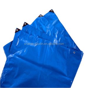 Wholesale Black Tarpaulin 10 X 20 Tarp Rolls for Tents Awning Roof Covering Waterproof 200 Gsm from china suppliers
