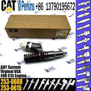 Engine Part Fuel Injector 249-0705 249-0713 249-0707 249-0708 253-0608 259-5409
