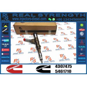 4307475 Dump Truck Spare Parts 4307475 cummins ISG Injector Injector 4307475
