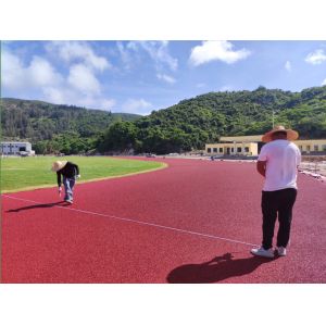 All-Weather Performance Full Pour Polyurethane Plastic Runway With High Friction