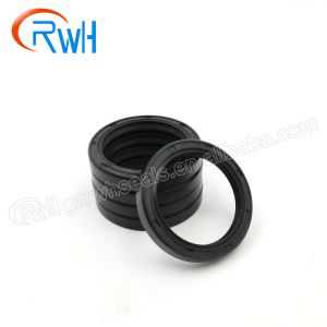 Mechanical Hydraulic Skeleton TCV Oil Seal High Pressure Rubber Material