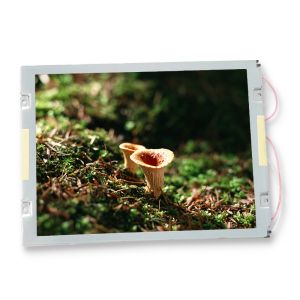 AA084VC03 Tft Lcd Screen 8.4 Inch TFT LCD Display 640*480 CCFL 31 Pins