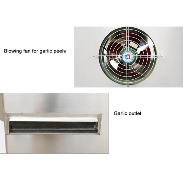 Low Consumption Joyshine Garlic clove separating machine Garlic separator machine Machinery
