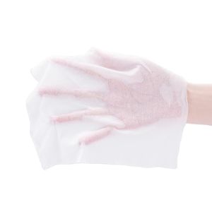 15*20cm Alcohol-Free Wet Wipes for Daily Hand Cleansing and Sanitizing Sheet