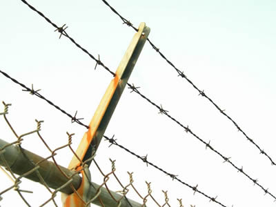 Barbed Wire