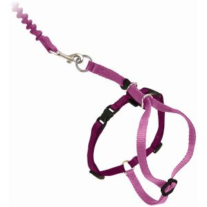 Adjustable Nylon Cat Harness Collar With Bungee Leash