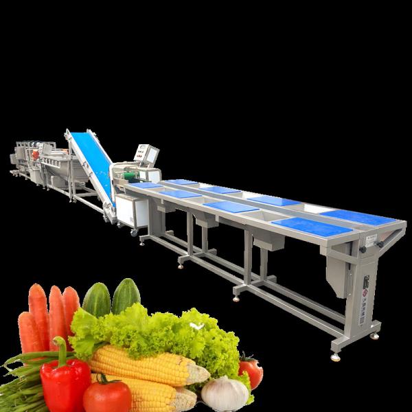 Industrial Fruit Vegetable Processing Machine Orange Mango Cleaning Drying