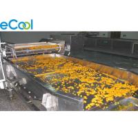 China Freon Refrigeration Multipurpose Cold Storage For Vegetables And Fruits 3000 Tons for sale