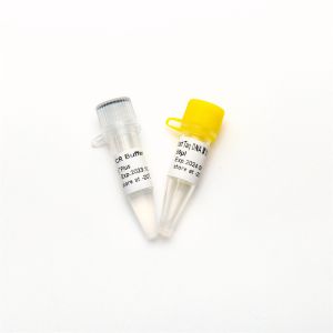 Wholesale QPCR Hotstart Taq DNA Polymerase RT-PCR Enzyme P1101 from china suppliers